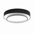 Aster Flush Mount