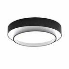 Aster Flush Mount