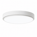 Halo Flush Mount