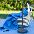 Rechargeable Outdoor LED Table Lamp with Touch Dimming