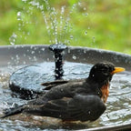 Solar Fountain Pump for Birdbath with Spray Nozzles