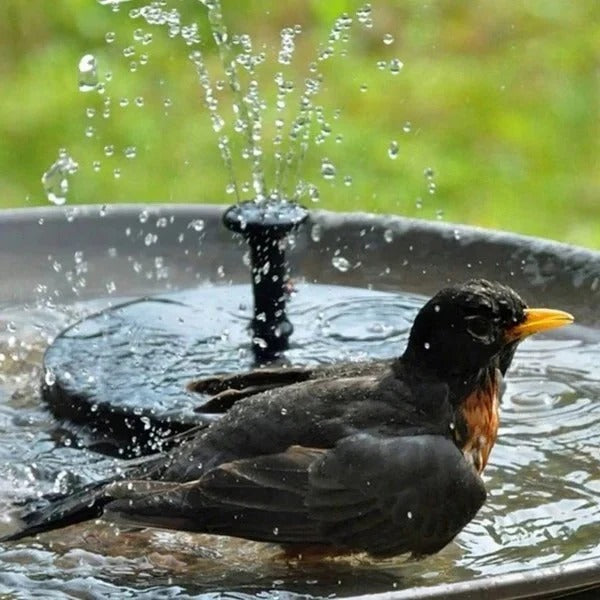 Solar Fountain Pump for Birdbath with Spray Nozzles