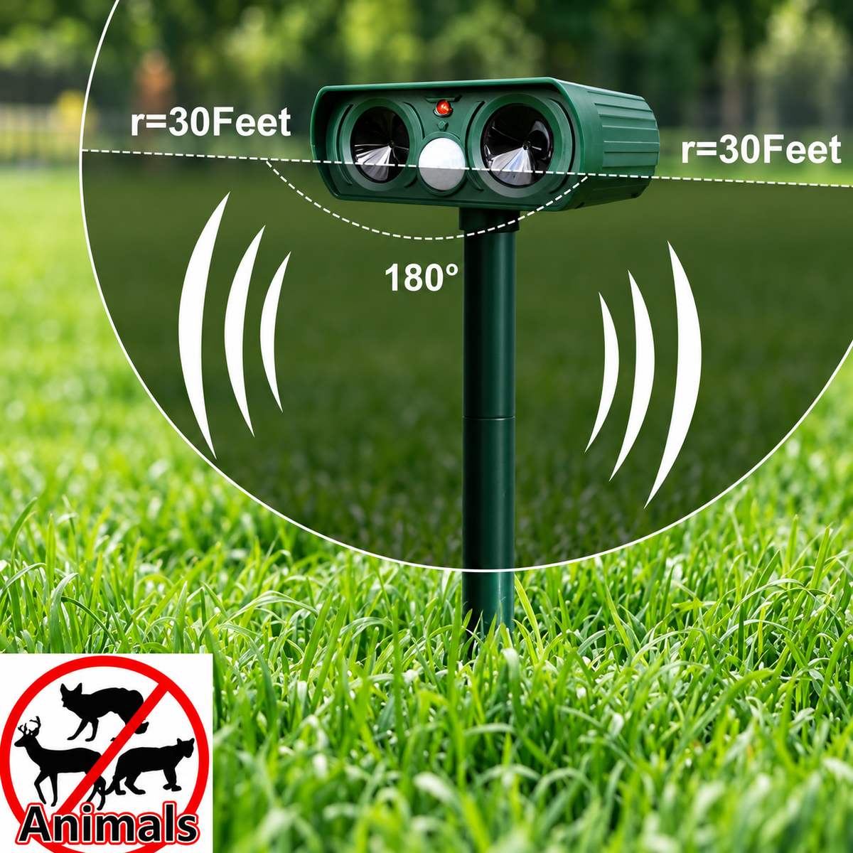 Clear English product image