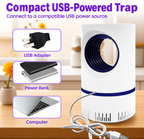 Clear English product image