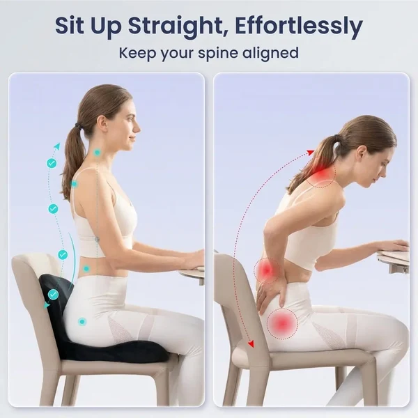 Lumbar support seat cushion posture comparison